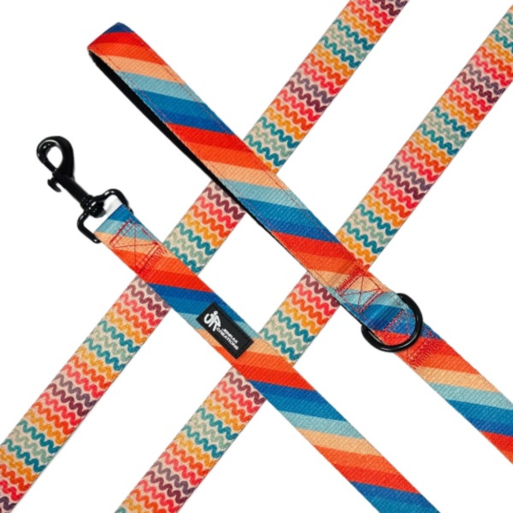Collar & Leash Set - City Boho Collection